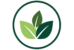 Vivero Entre Verde
